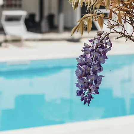 Aquavista - Panoramic Lakefront Penthouses With Pool Castelletto sopra Ticino